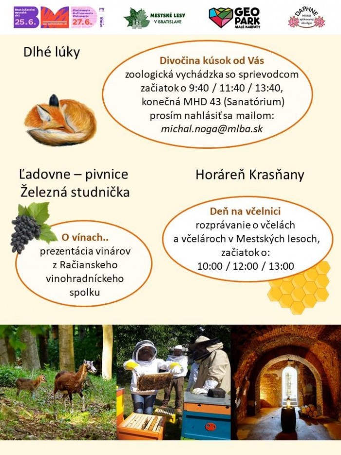 203981769 2986549968244003 5943922890186529348 n