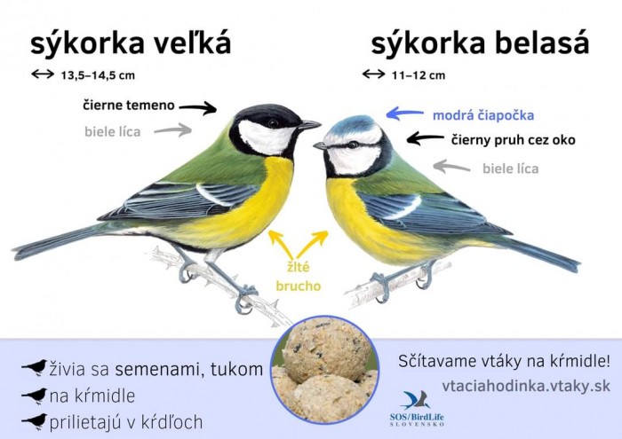 FB IMG 1704151461408