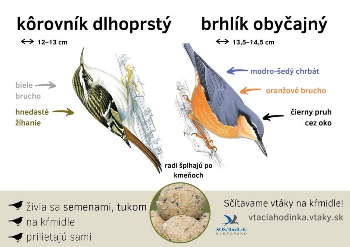 FB IMG 1704151466723