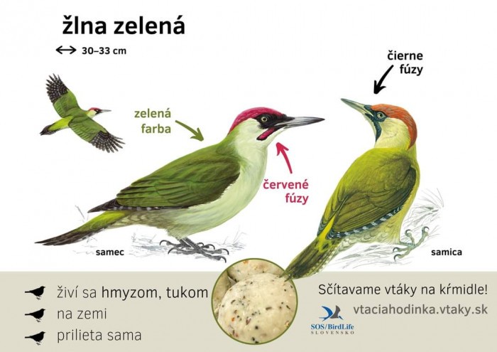 FB IMG 1704151469219