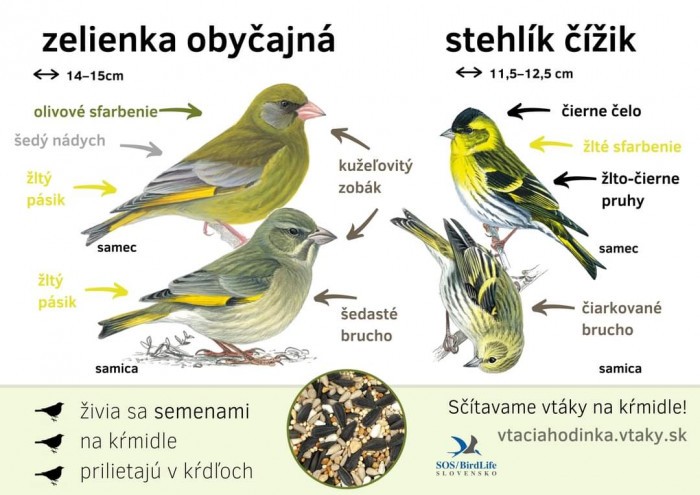 FB IMG 1704151474309