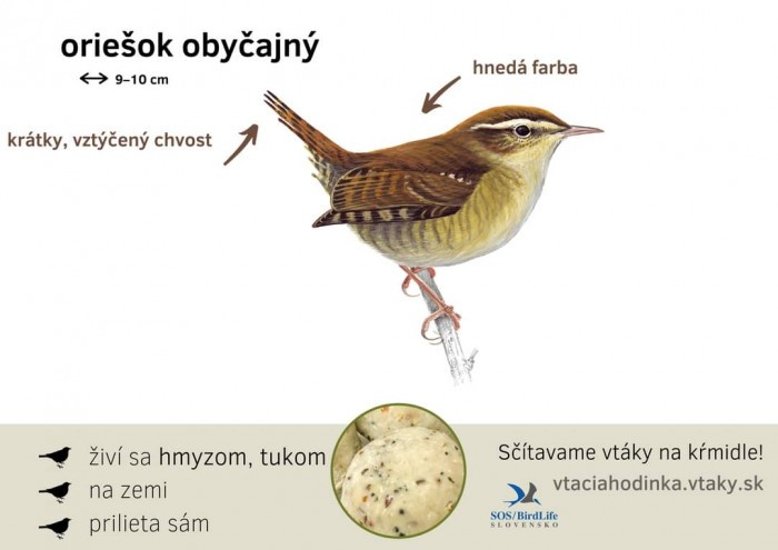 FB IMG 1704151477016