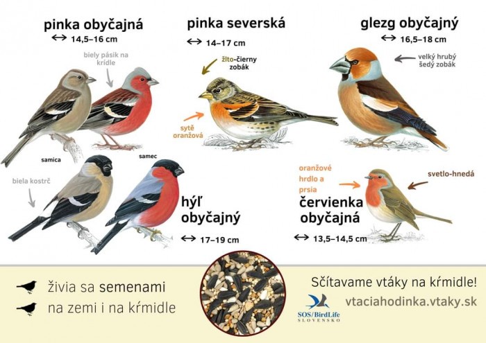 FB IMG 1704151479349