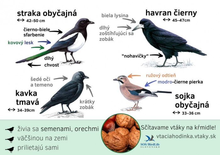 FB IMG 1704151485197