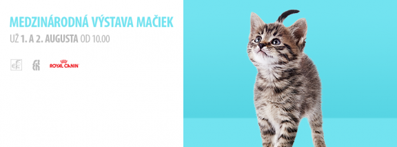 11781663 414812518722734 2365411649255597630 n