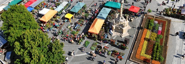 Majovy kvet title 1920x663