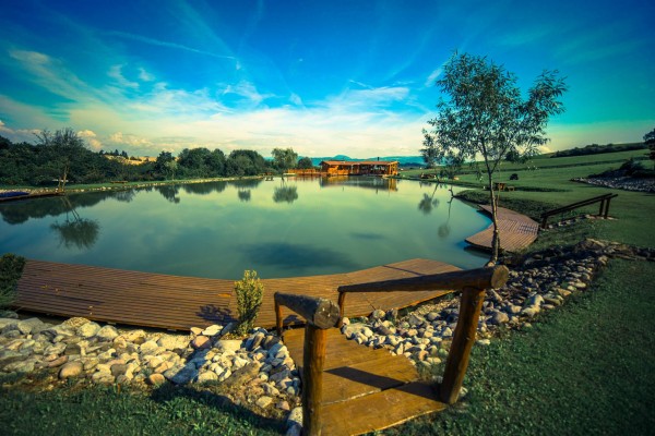 13958199 173979946356915 3338938418255548307 o