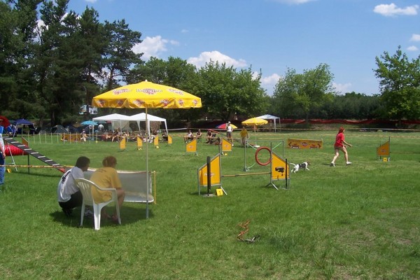 14725645 1230938543616774 391522737681218418 n