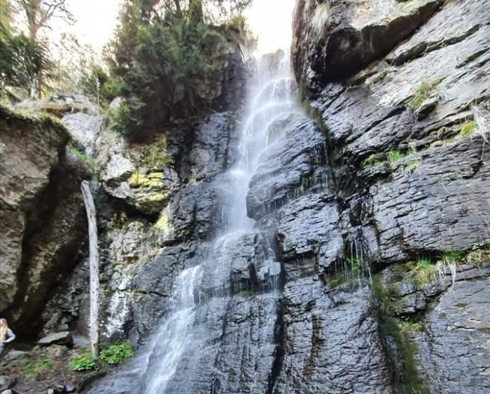 108495727 1577018409144565 2604581127119583024 n