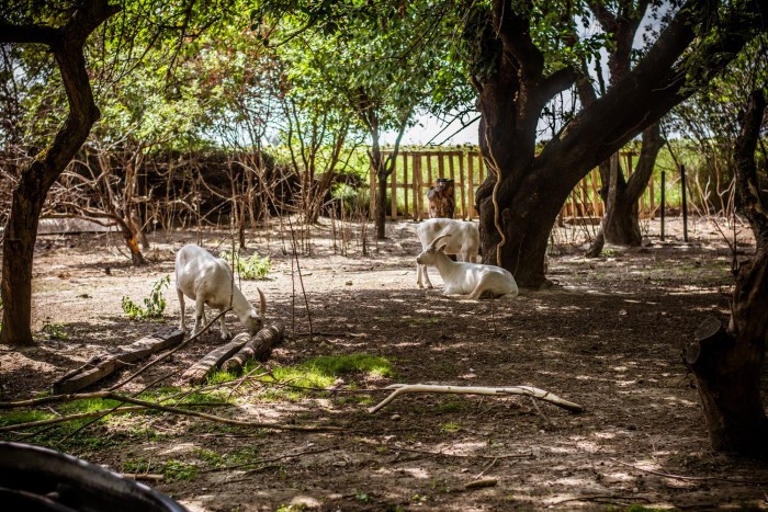 113338439 10217623959647501 241594236671509402 n2