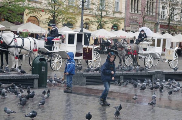 12278845 877520918992460 4352312580850747870 n