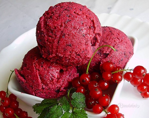 13892111 1258505080862986 4161628997676667687 n