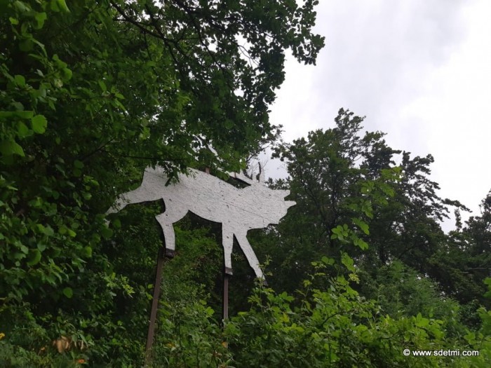 168749341 3869654609788150 120067265401339579 n