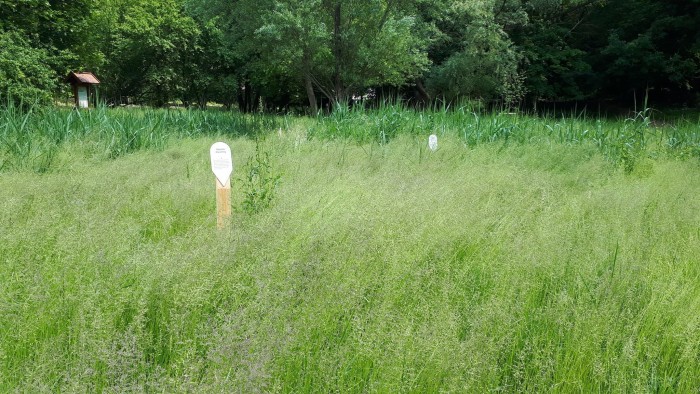 196614290 321271606219213 5487445212422302890 n