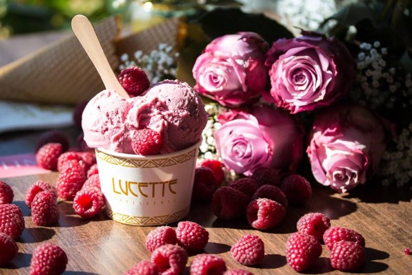 19756426 831168323702866 4075274897503967044 n