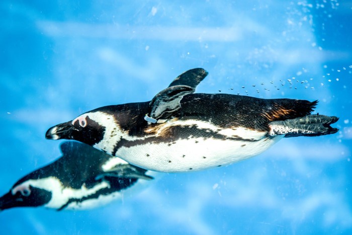 274518550 4825736554161704 6007453066542529798 n