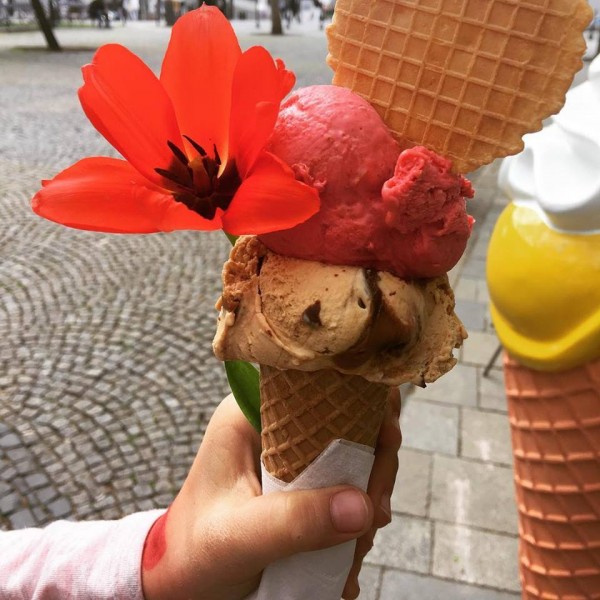 30715507 987852911371357 4190093767698066825 n