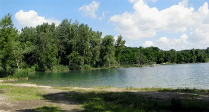 358940743 1315585242370708 5948251811175408684 n2