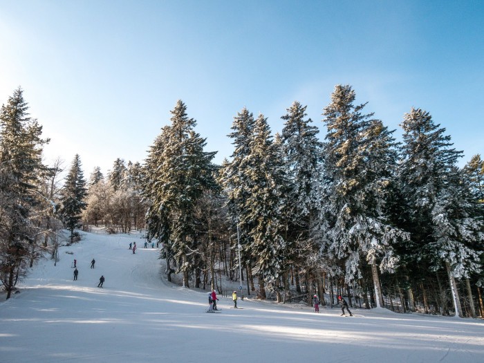 50231586 2225354884152425 293404832490848256 n