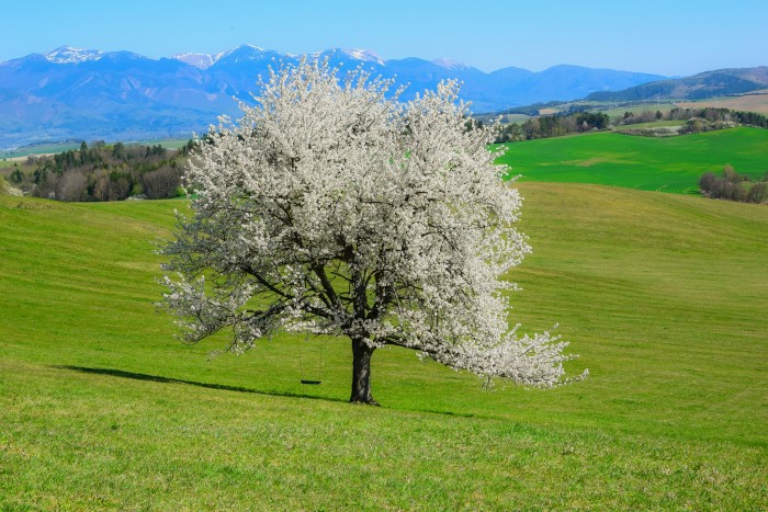 96003863 1651078511706882 2279636098026045440 o