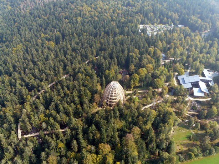 Baumwipfelpfad Luftaufnahme