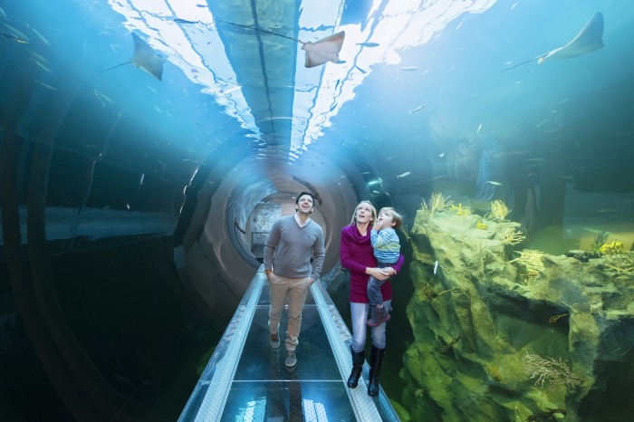 Haus des Meeres DANIEL ZUPANC 31