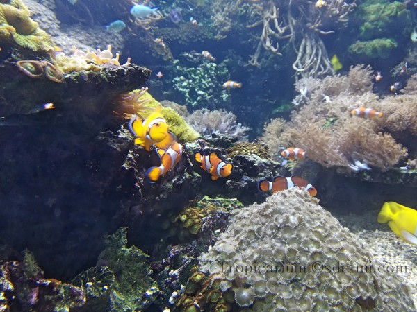 IMG 20190509 161035 Fotor