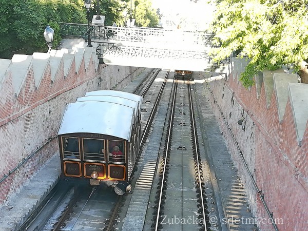 IMG 20190510 162411 Fotor