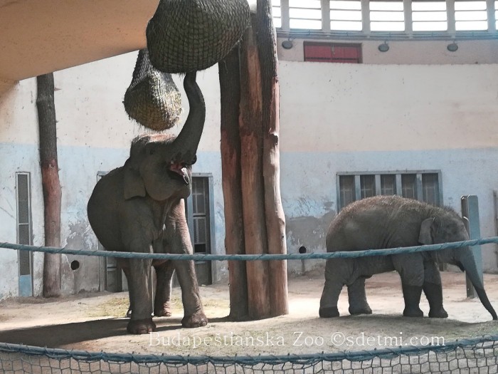 IMG 20190511 142841 Fotor