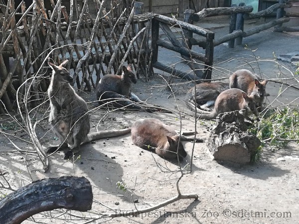 IMG 20190511 160502 Fotor