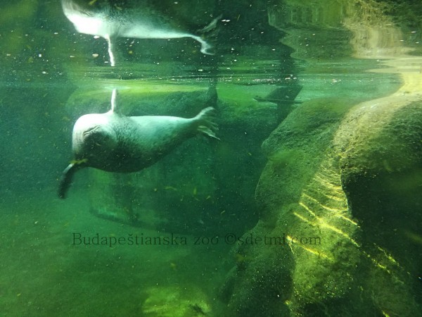 IMG 20190511 170105 Fotor