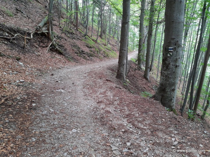 IMG 20190816 111152216