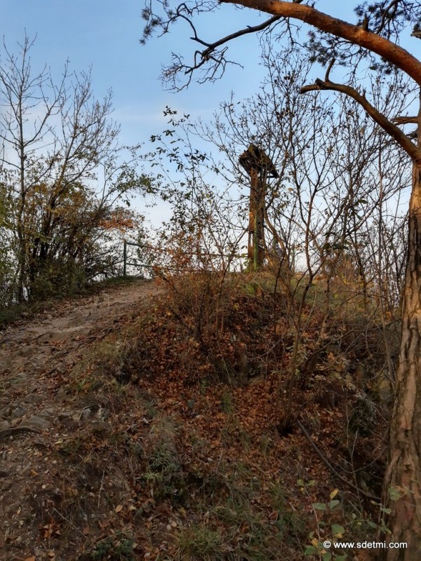 IMG 20191101 145537351 HDR