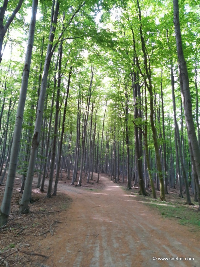 IMG 20200508 084343809