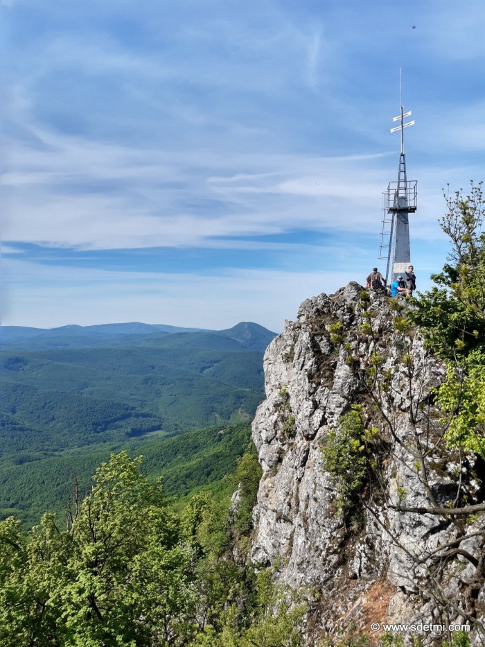 IMG 20200508 095233502 HDR