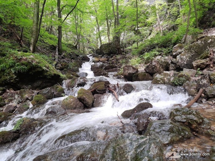 IMG 20200729 104021509