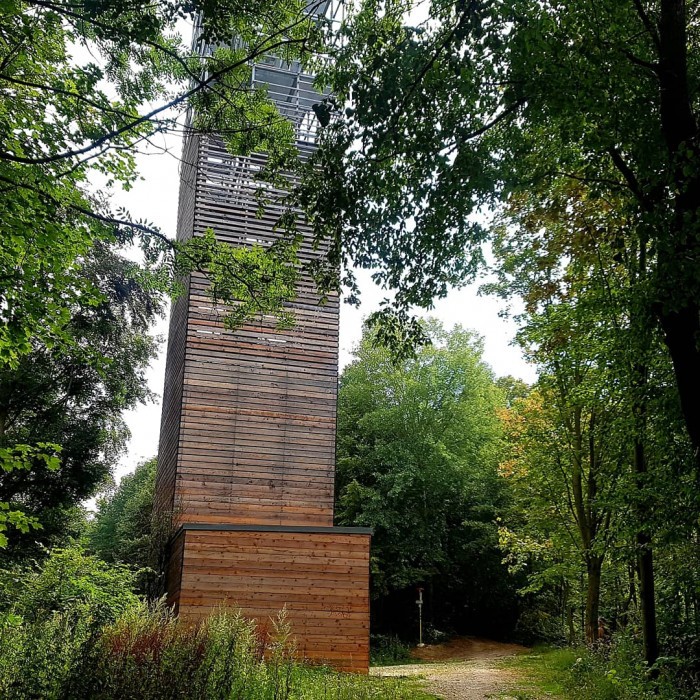 IMG 20200815 151014 065