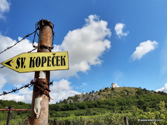 IMG 20210802 103927466 HDR