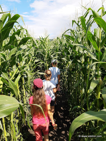 IMG 20210802 144944838