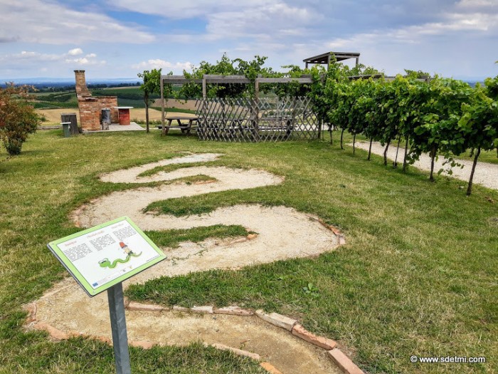 IMG 20210806 140222501 HDR