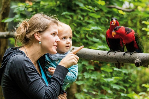 papousek nova fotka RGB