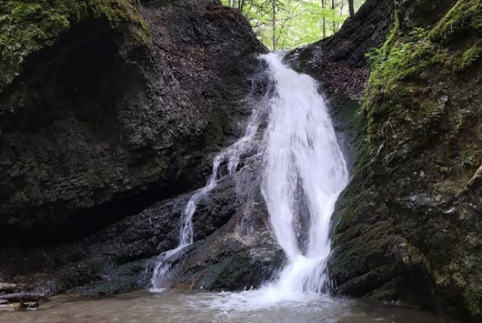 Screenshot 2020 09 04 sdetmi com sdetmicom Fotky a videa na Instagrame1