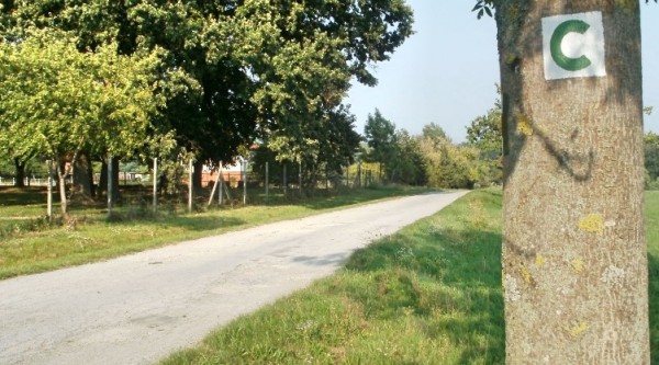 kzverznici cyklopoeral Fotor