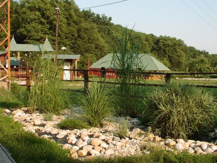 phoca thumb l viridis 044