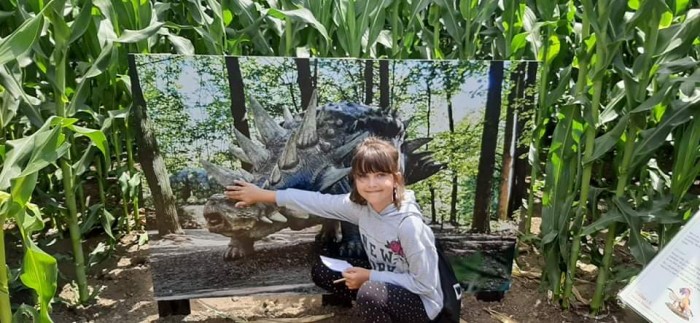 received 880453805780874